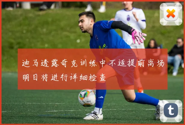 迪马透露奇克训练中不适提前离场明日将进行详细检查