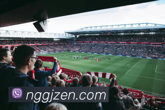 南宫国际平台生态图